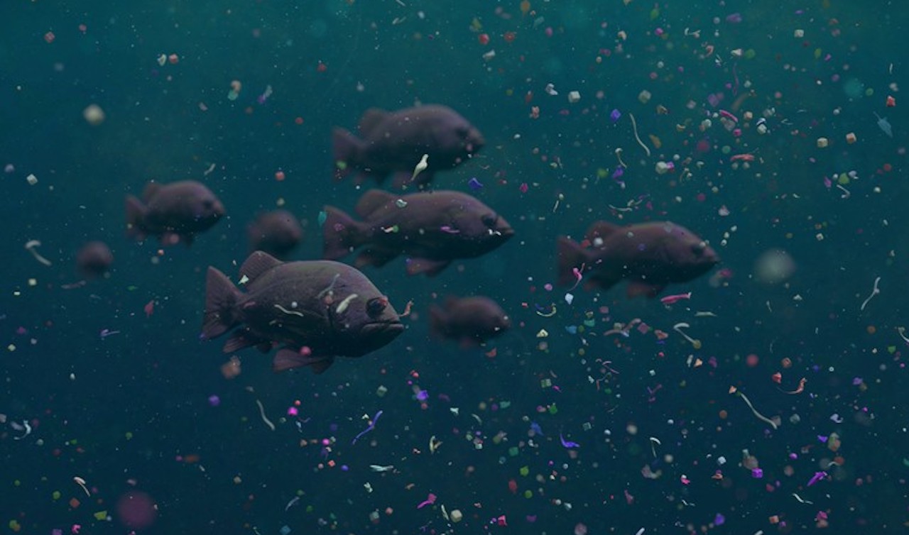 Can Bionic Robo-Fish Eat Up & Remove Microplastic Pollution in Oceans?