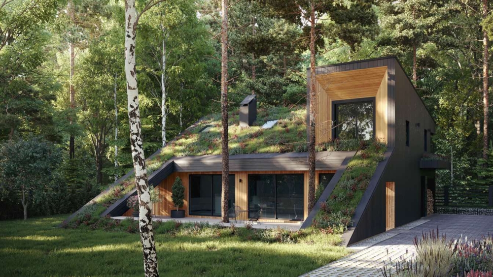 Green Roof Home