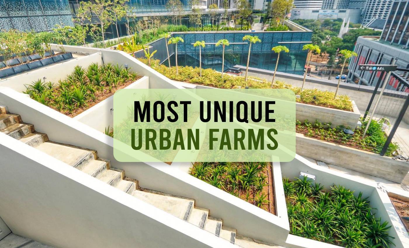 Most Unique Urban Farms around the world