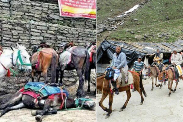 Mule Exploitation in Kedarnath