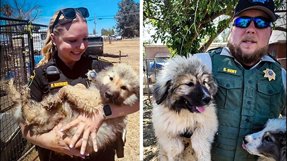 Over 60 Animals Confiscated in Sutter County’s Animal Cruelty Case