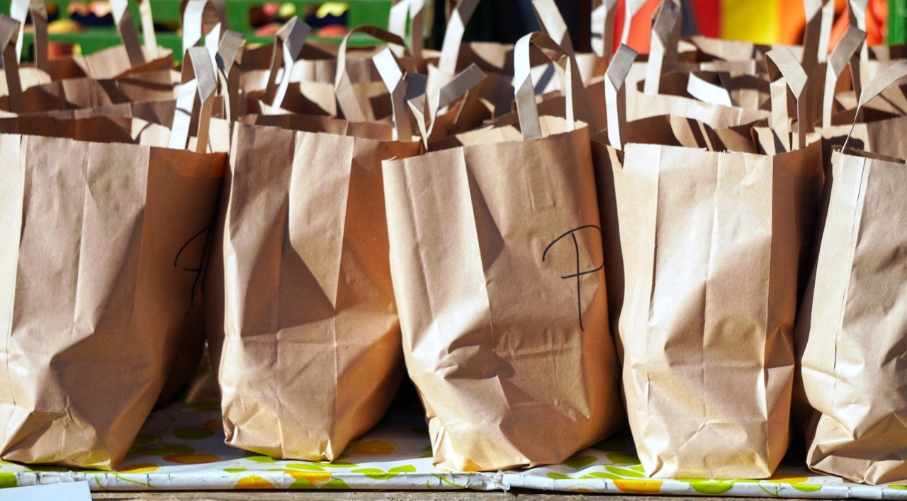 Paper bag - Biodegradable Alternatives to Plastic Bags