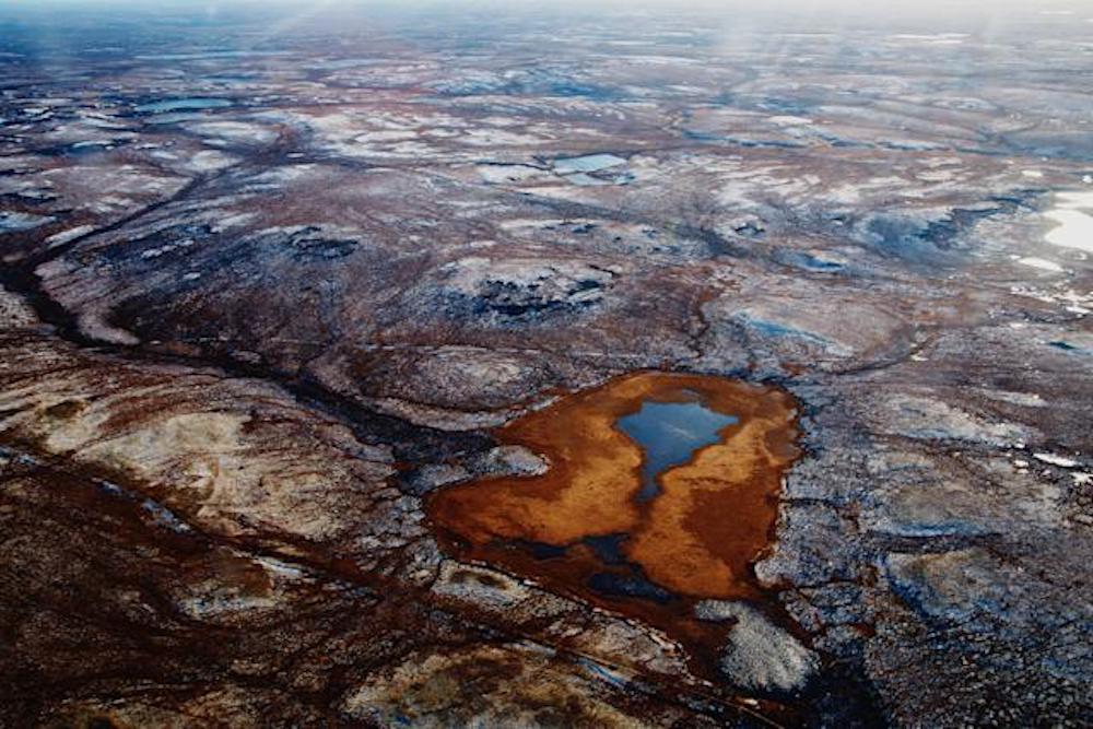 Researchers Predict Siberian Tundra May Disappear by 2500