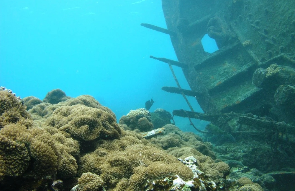 Shipwrecks Lost at Sea are Thriving Microbiome Habitats