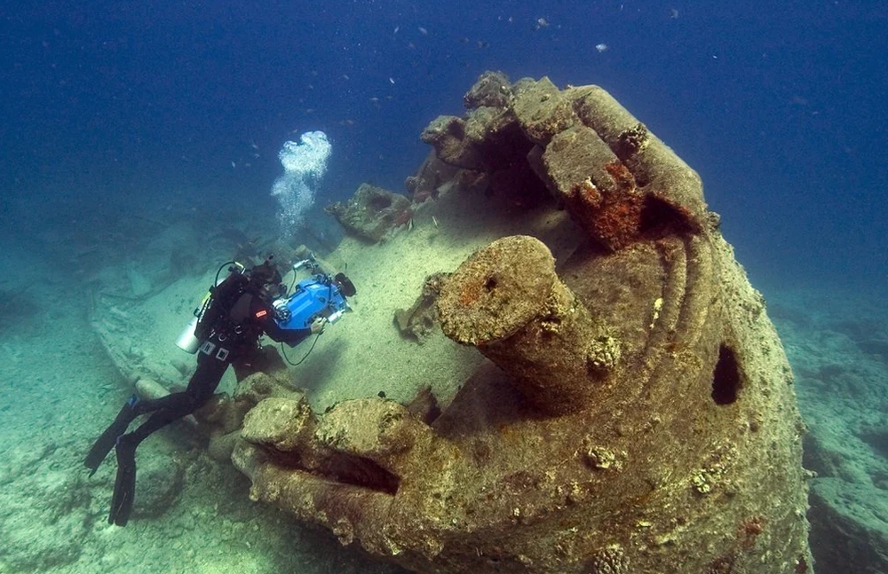 Shipwrecks Lost at Sea are Thriving Microbiome Habitats, Study Finds
