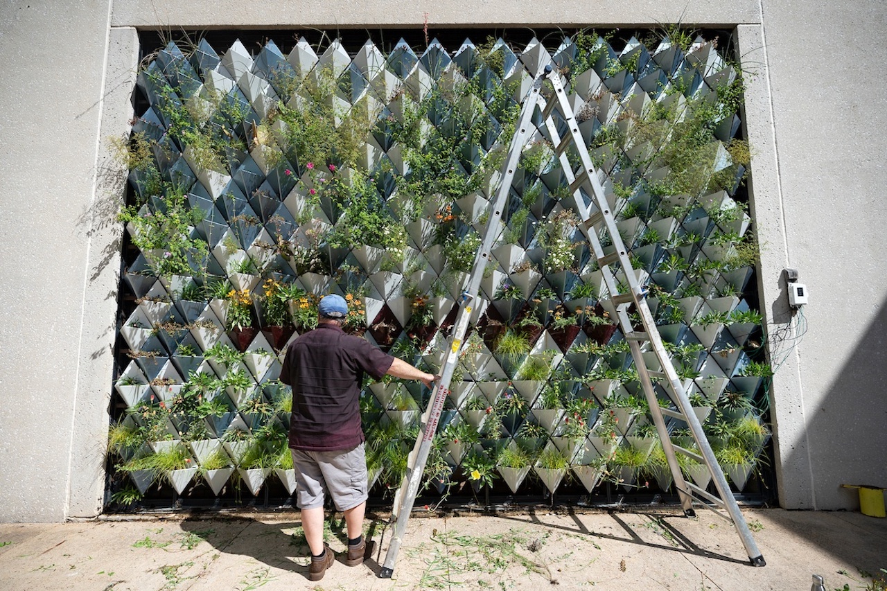 ‘Living Wall’ is Key To Creating Sustainable Smarter Cities 