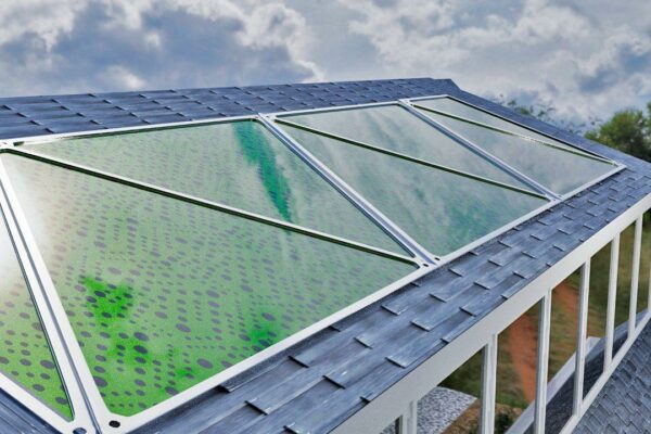 Algae-Based Biopanel Windows by Greenfluidics