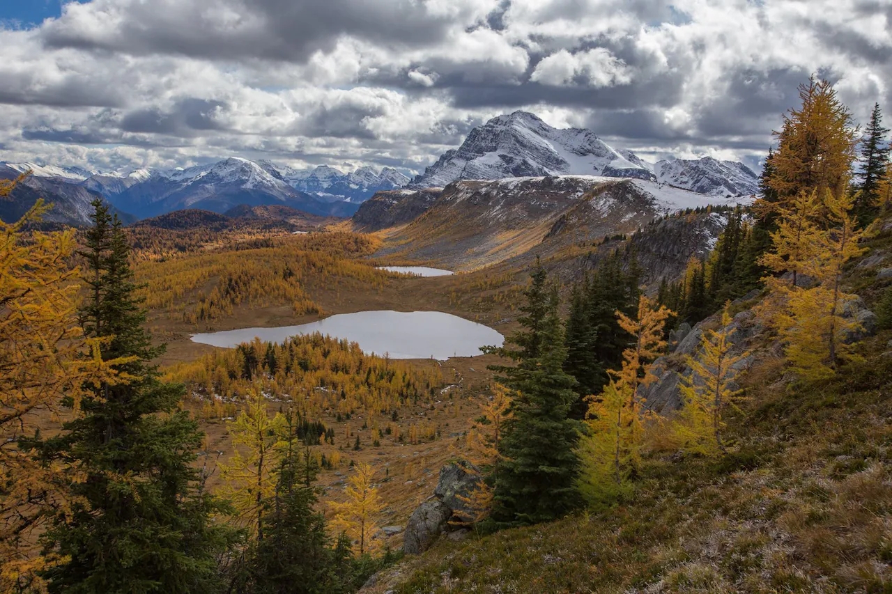 Banff National Park Biodiversity Loss Amid Climate Change