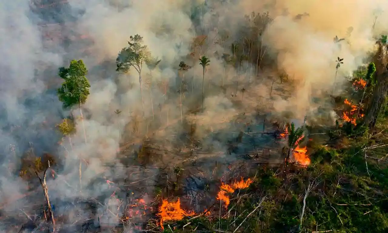 Brazil Amazon Deforestation Breaks Six-Month Record, Fires Exacerbate