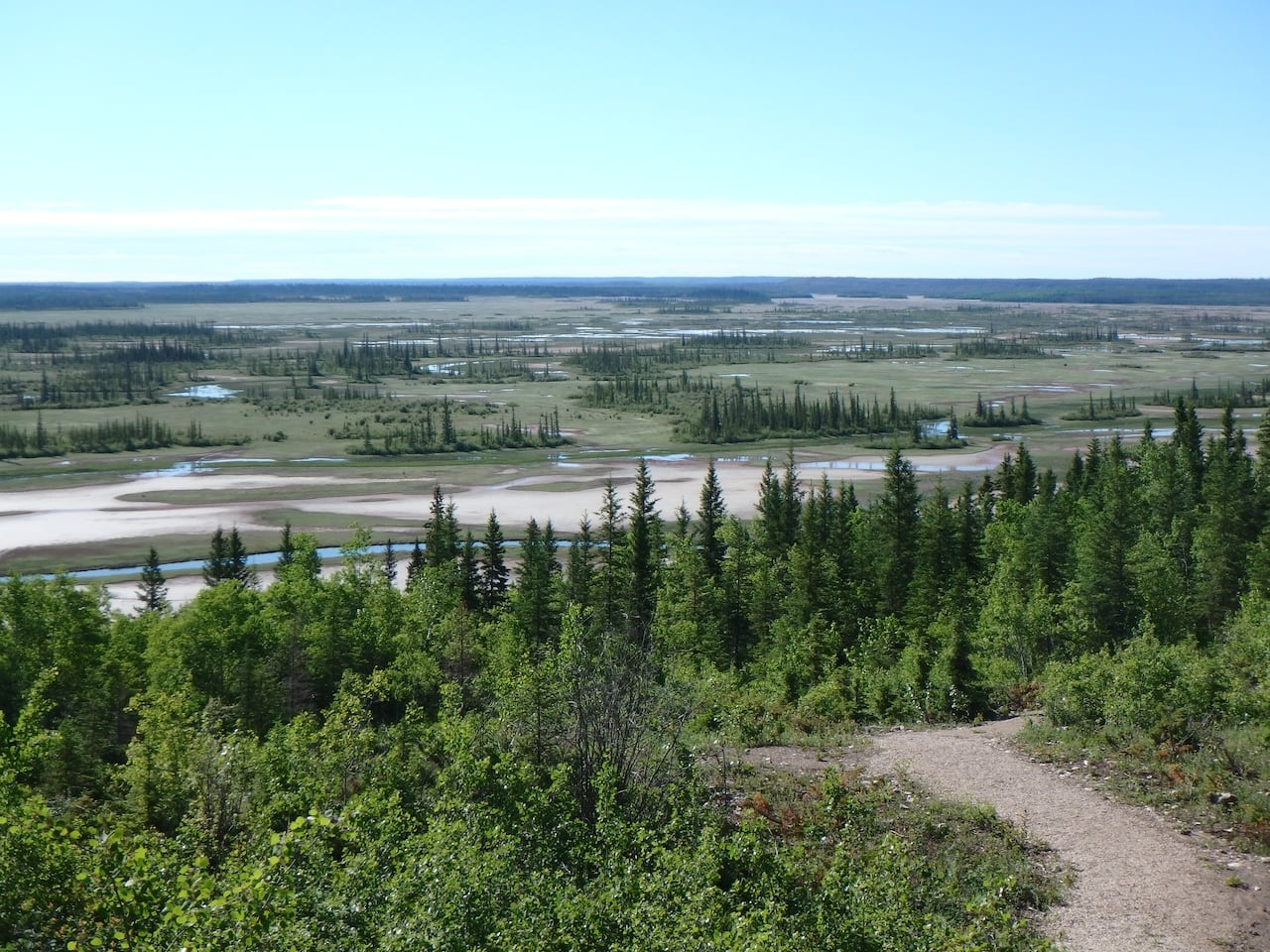 Drought in Wood Buffalo National Park