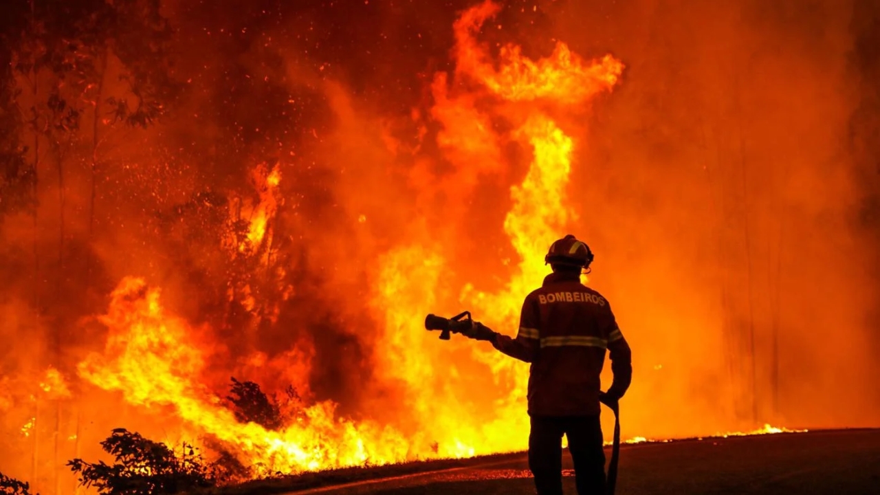 Europe is Getting Toasted, Worst Heatwave Triggers Fires, Droughts