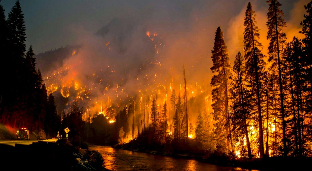 Great Smoky Mountains National Park wildfires