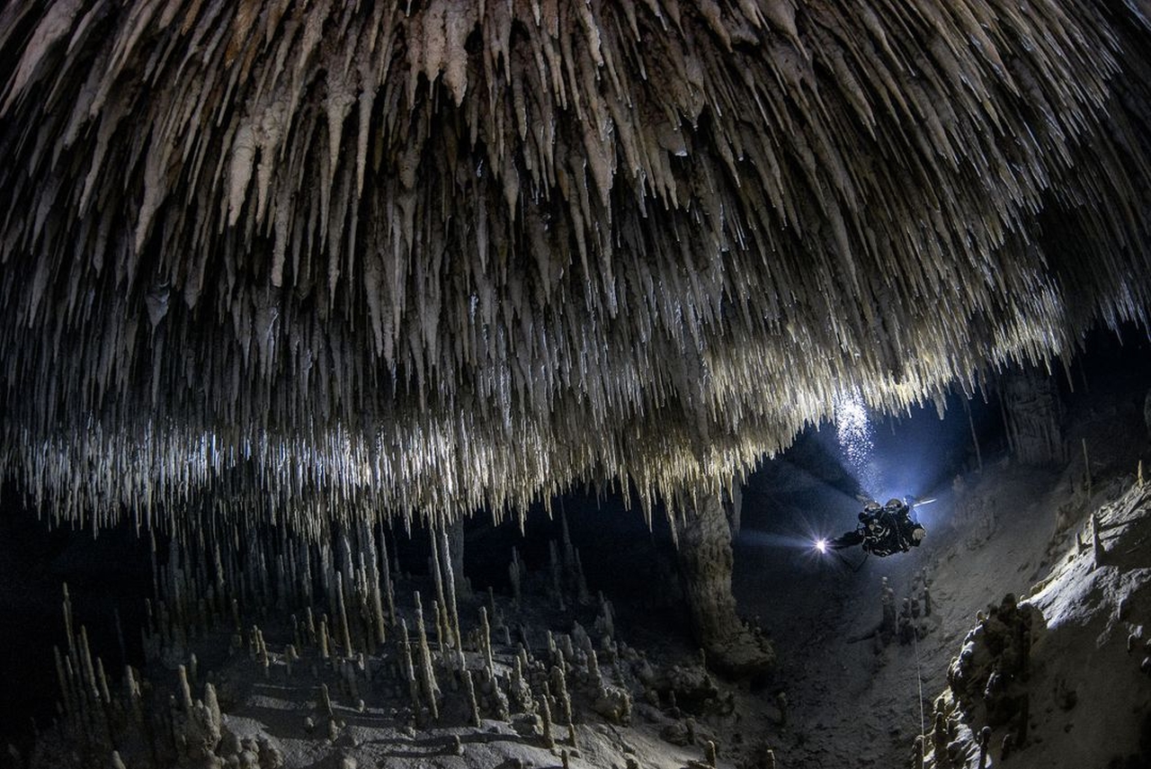 “Hidden Beauty” by Tom St George - Landscapes, Waterscapes, and Flora Winner