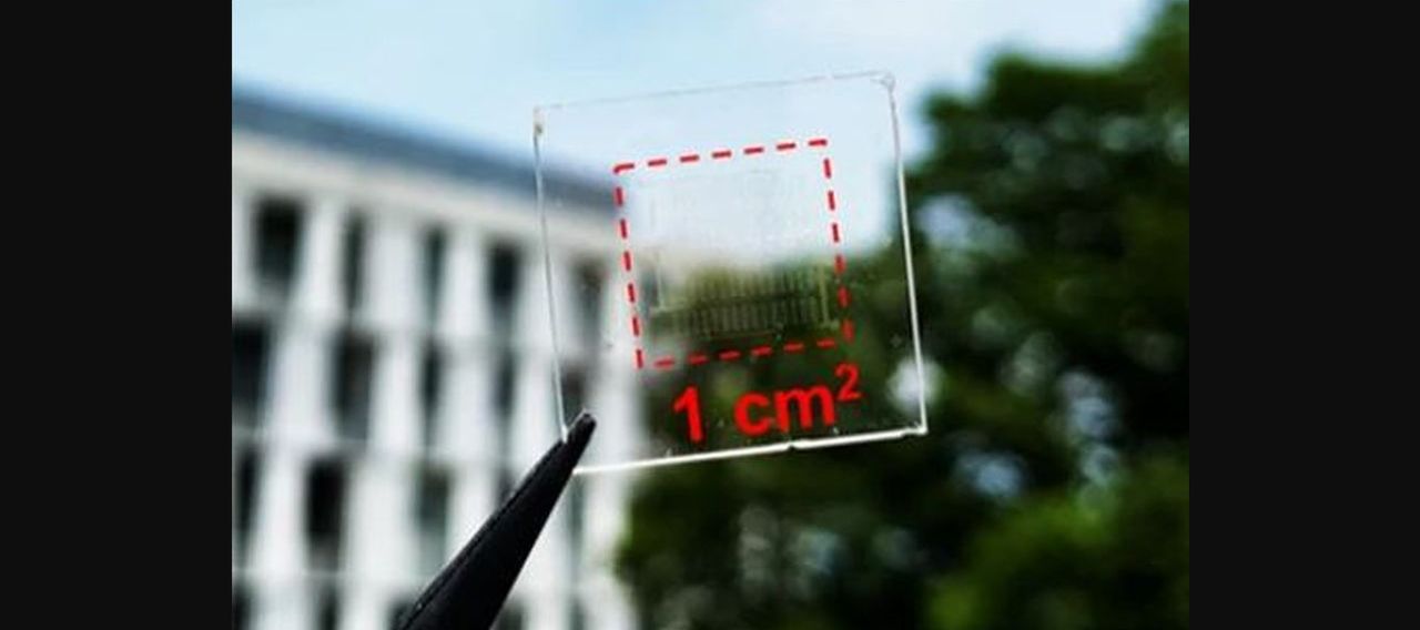 Scientists Invent Near Transparent Solar Cell With 79 Percent Clearness