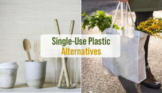 Single-Use Plastic alternatives in India
