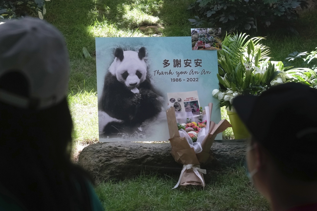 World’s Oldest Male Giant Panda An An 