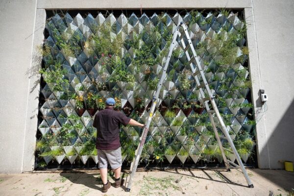 ‘Living Wall’ is Key To Creating Sustainable Smarter Cities