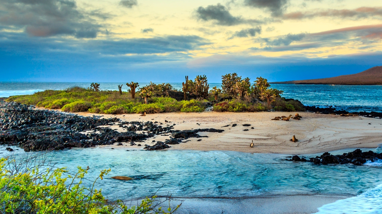 Affordable Green Travel Destinations - Galapagos Islands