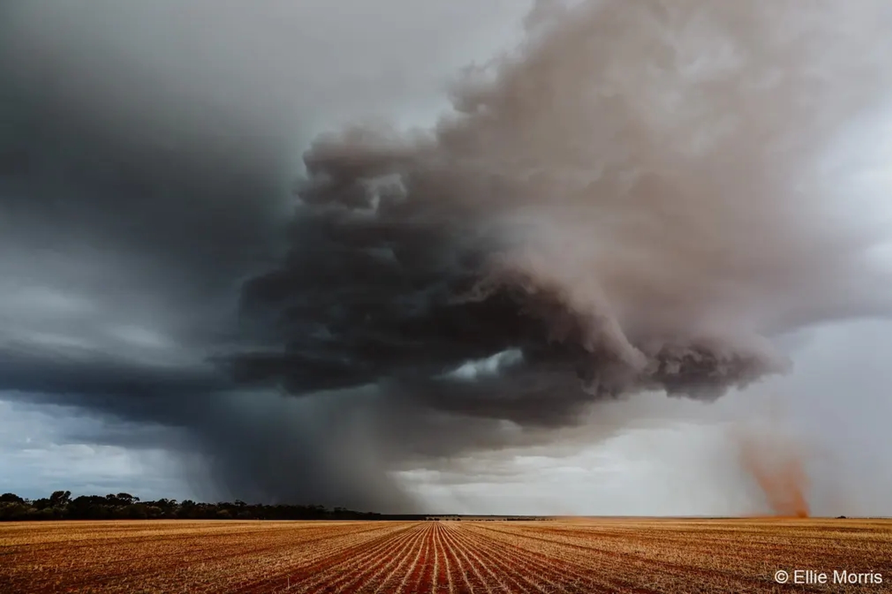 Australian Geographic Nature Photographer of the Year 2022 - Ellie Morris