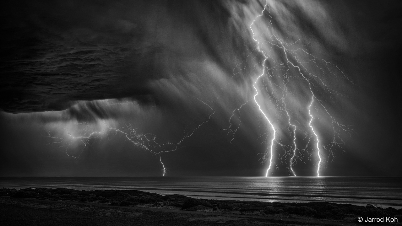 Australian Geographic Nature Photographer of the Year 2022 - Jarrod Koh