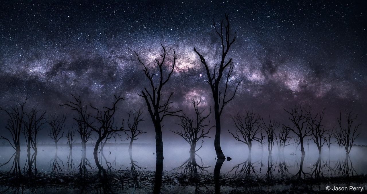 Australian Geographic Nature Photographer of the Year 2022 - Jason Perry