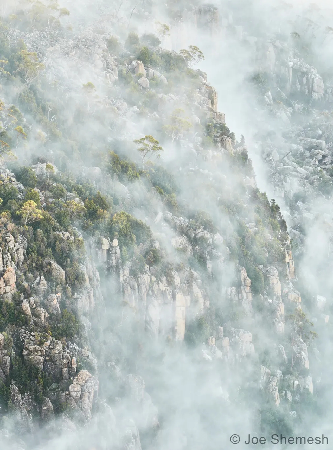 Australian Geographic Nature Photographer of the Year 2022 - Joe Shemesh