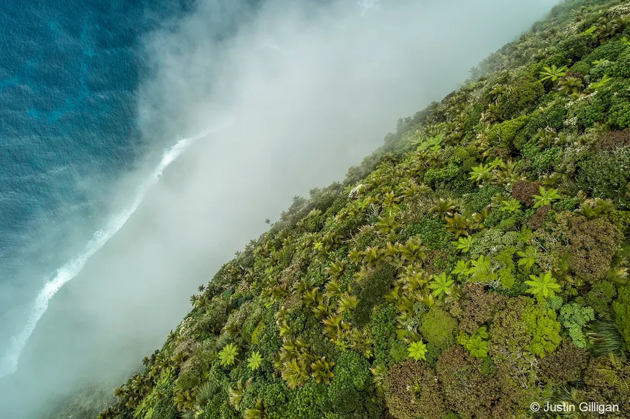 Australian Geographic Nature Photographer of the Year 2022 - Justin Gilligan