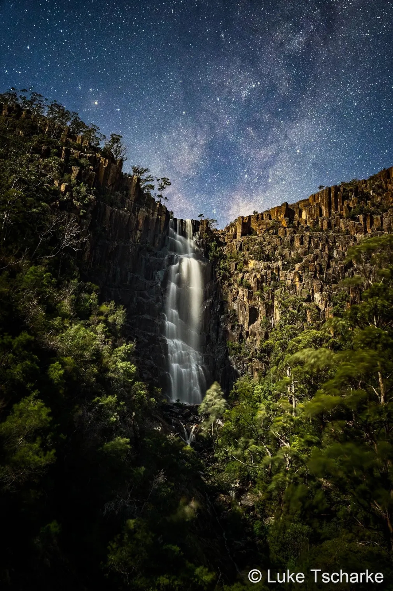 Australian Geographic Nature Photographer of the Year 2022 - Luke Tscharke