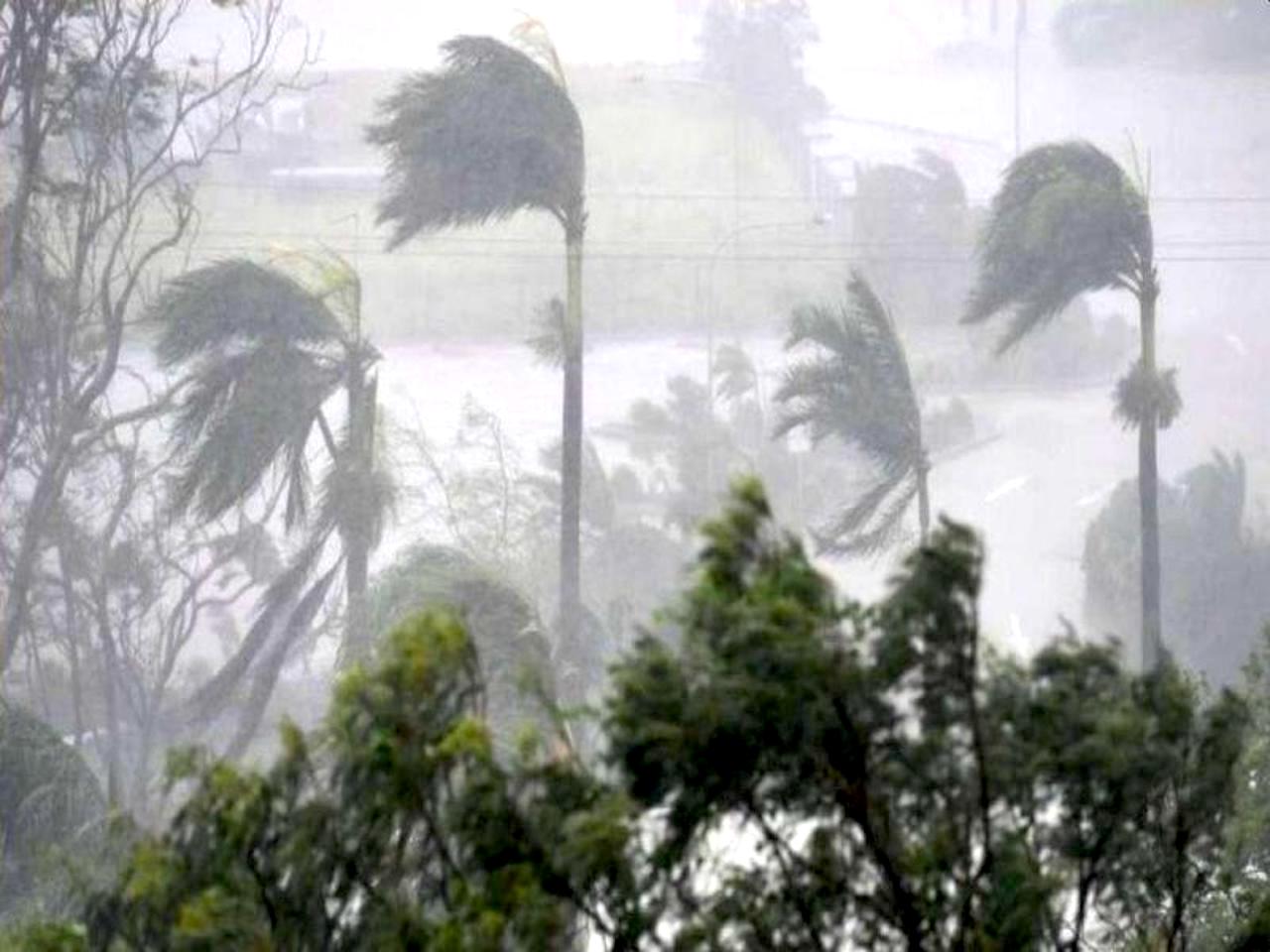 Cyclone Tauktae Uprooted 3.5M Trees in Gir, Experts See Silver Lining 