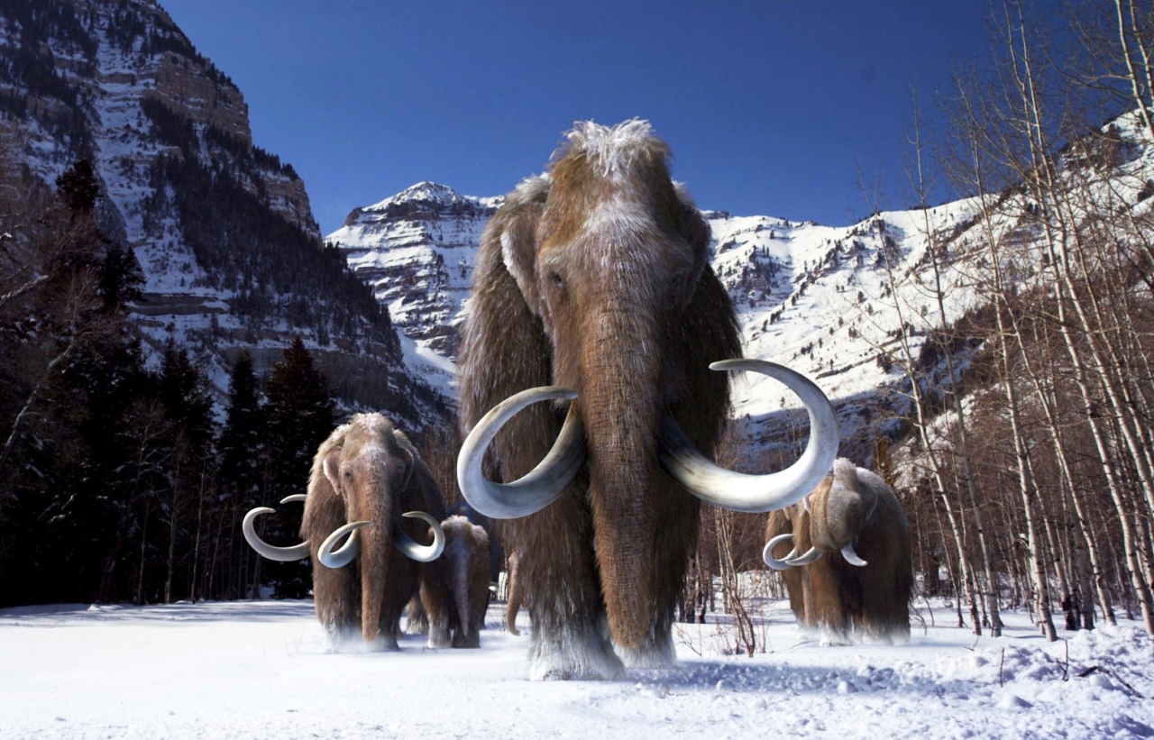 De-Exticntion of Species - Woolly Mammoth