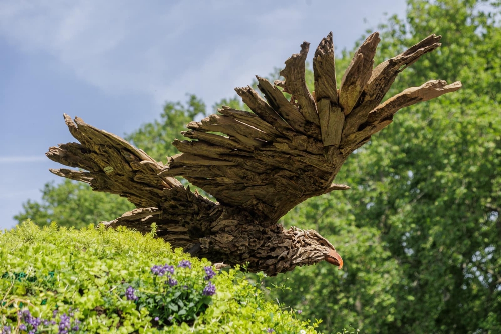 Driftwood Sculptures James Doran-Webb