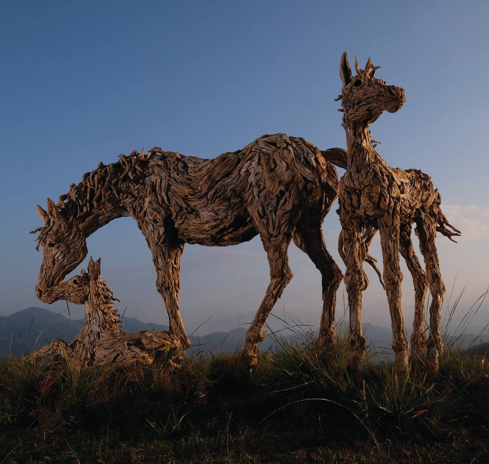 Driftwood Sculptures James Doran-Webb