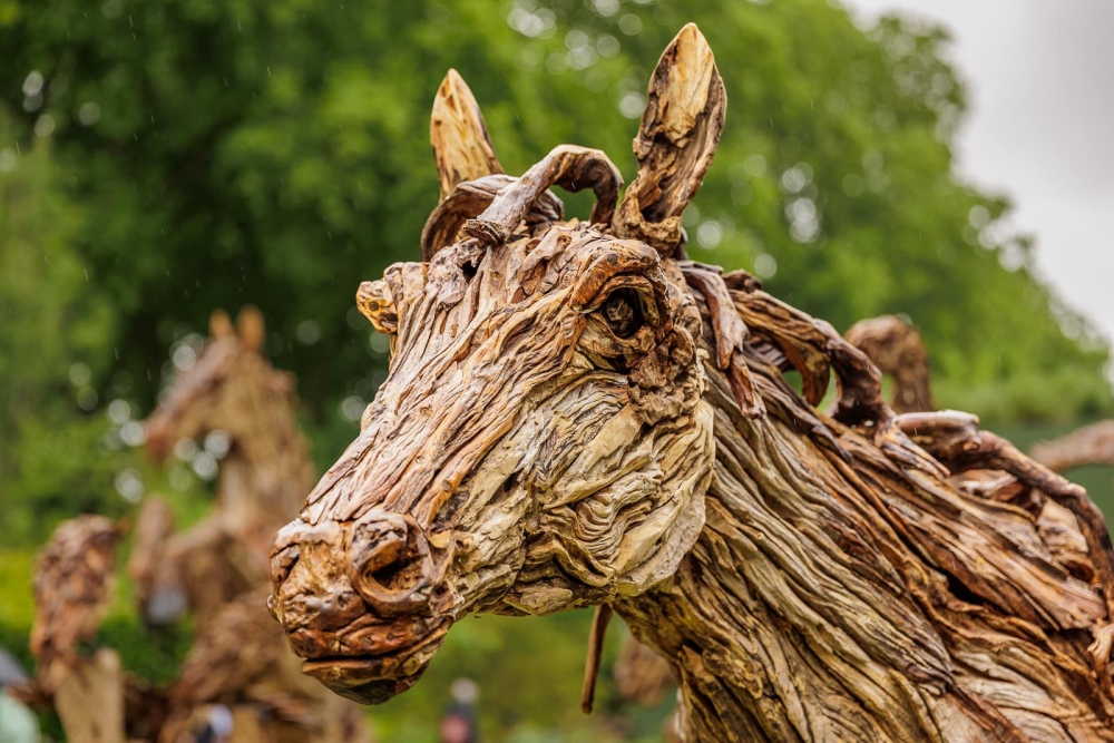 Driftwood Sculptures James Doran-Webb