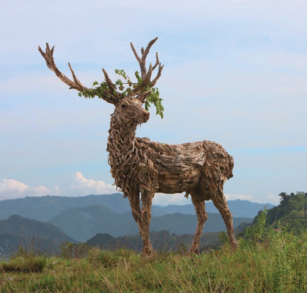 Driftwood Sculptures James Doran-Webb