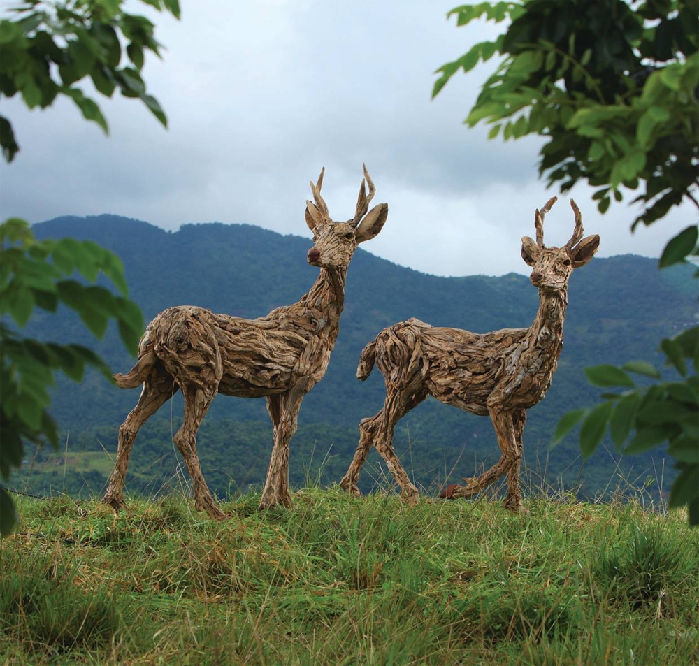 Driftwood Sculptures James Doran-Webb