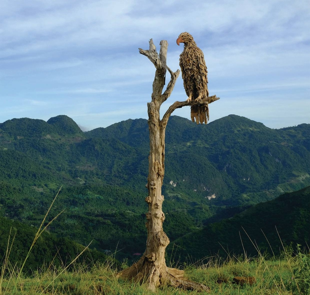 Driftwood Sculptures James Doran-Webb