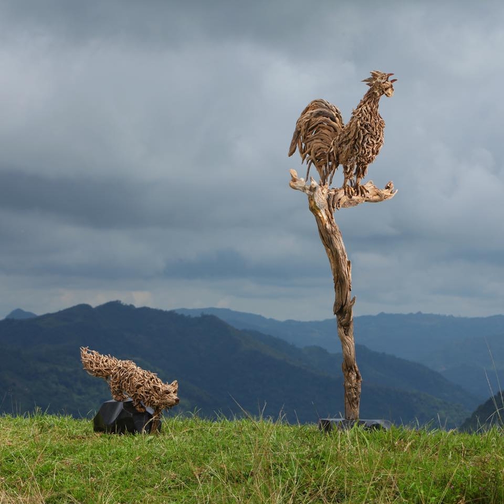 Driftwood Sculptures James Doran-Webb