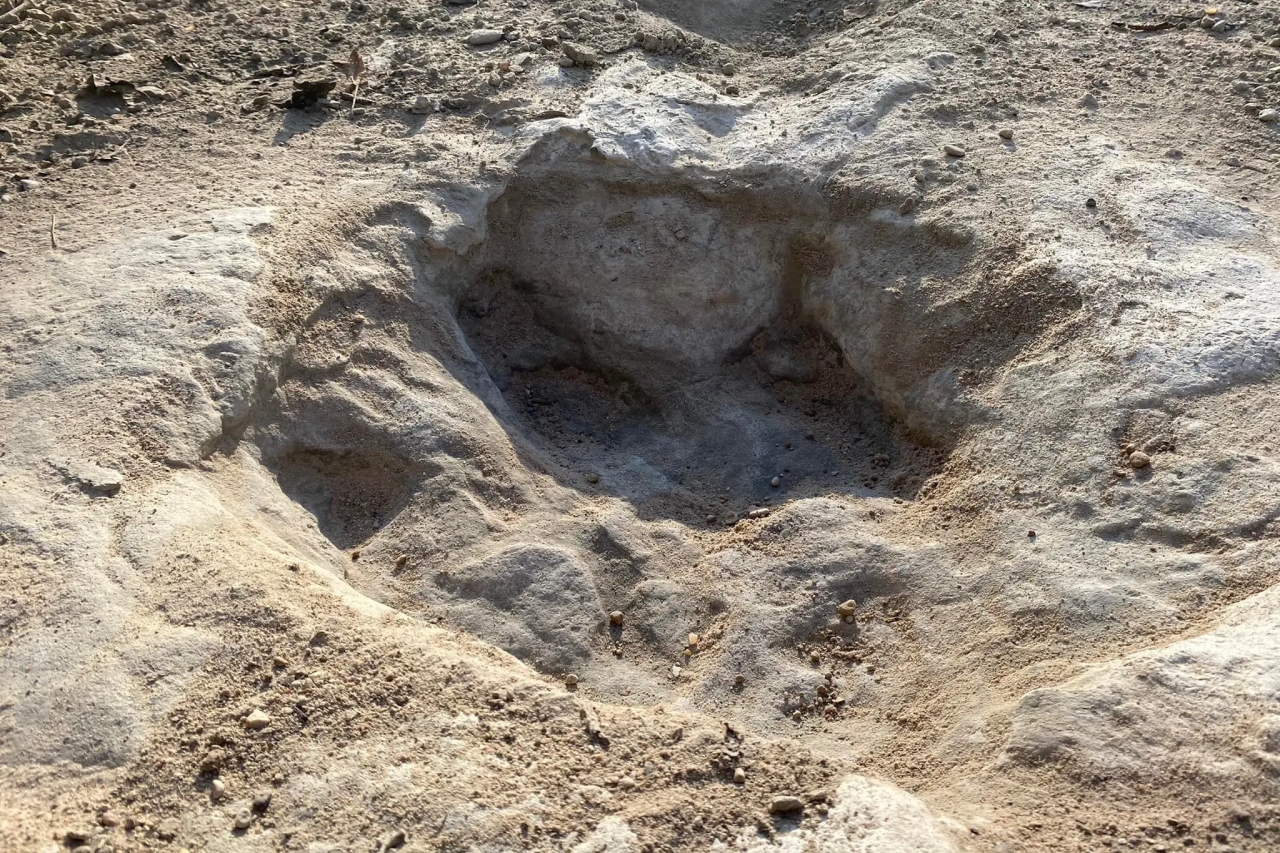 Drought Uncovers Dinosaur Tracks in Dry Texas Riverbed