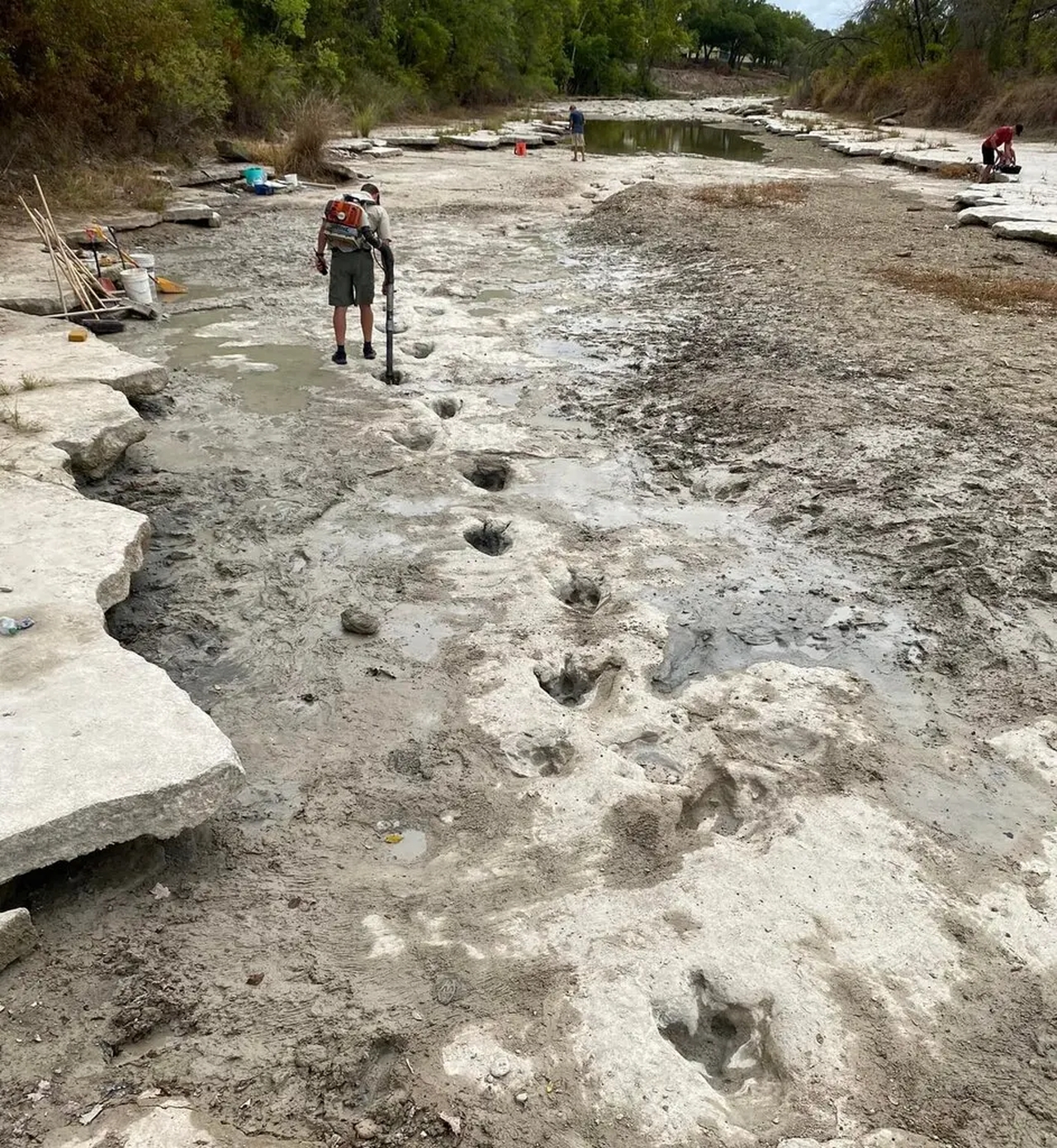 Drought Uncovers Dinosaur Tracks in Dry Texas Riverbed