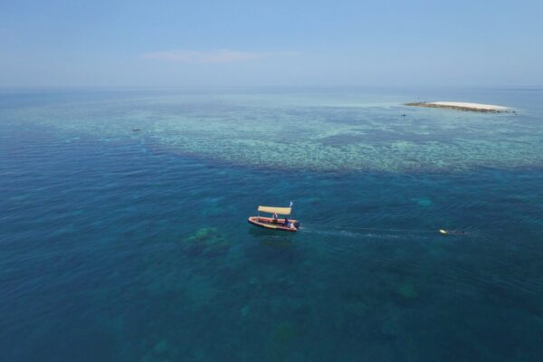 Great Barrier Reef Shows Signs of Recovery