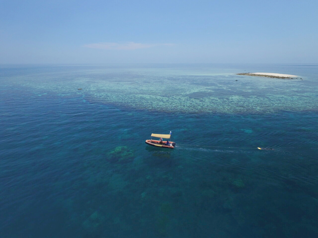 Great Barrier Reef Shows Signs of Recovery