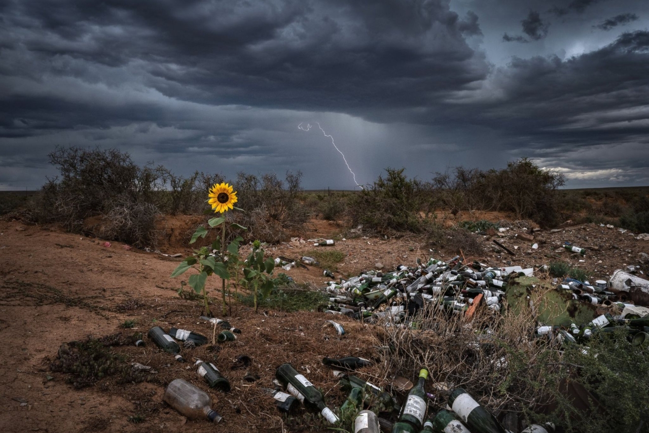 Nature TTL Photographer of the Year 2022 - Bertus Hanekom