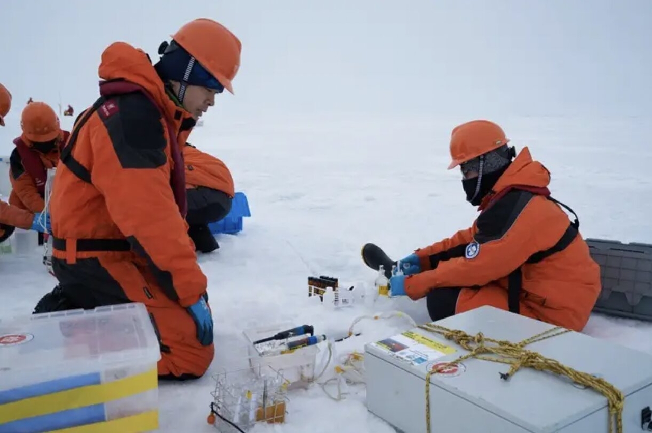 Climate Change Intensifies Arctic Acidification Disproportionately-1