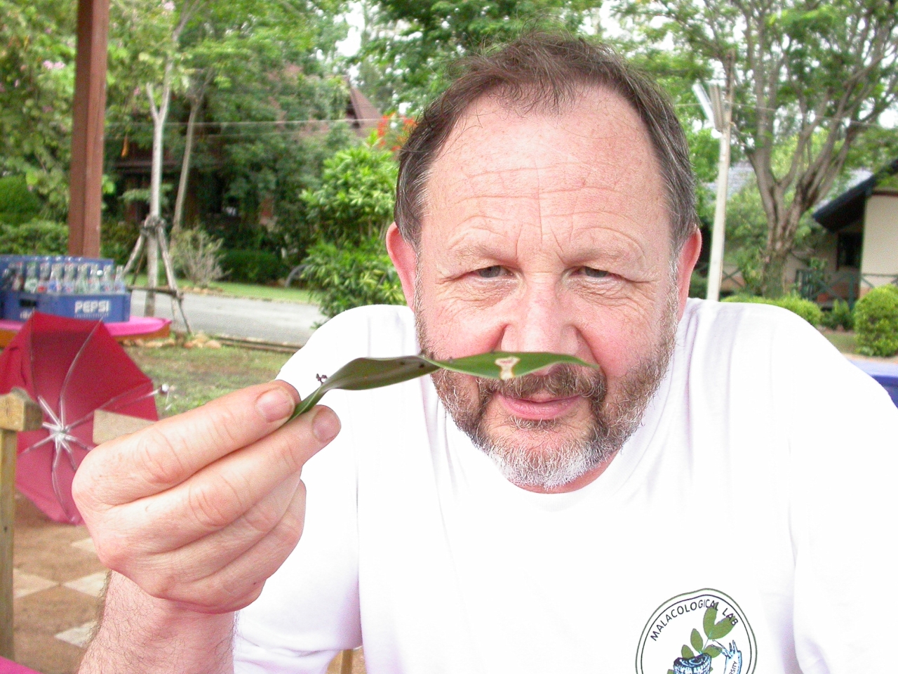 Fred with micro-snails on a leaf in Thailand