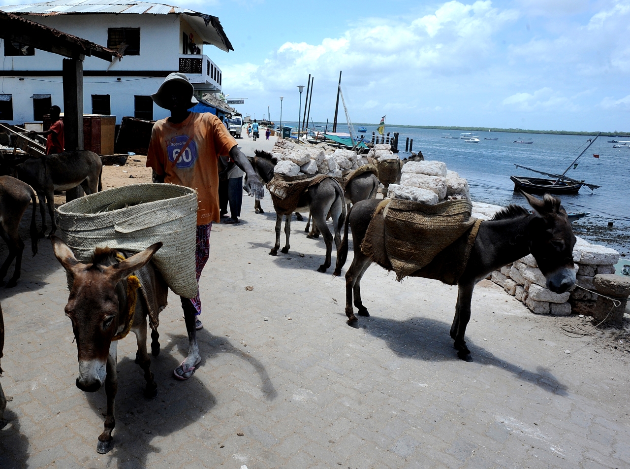 Car-Free Cities in World - Lamu, Kenya