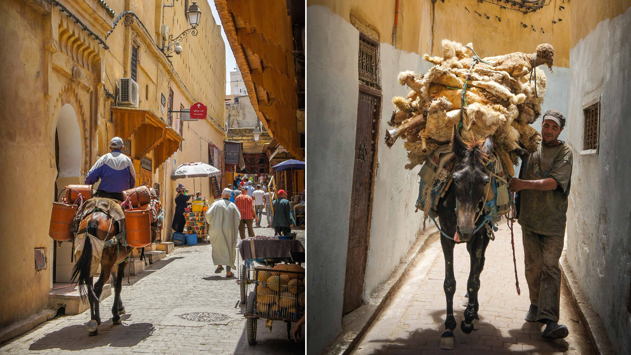 Car-Free Fes el Bali, Morocco