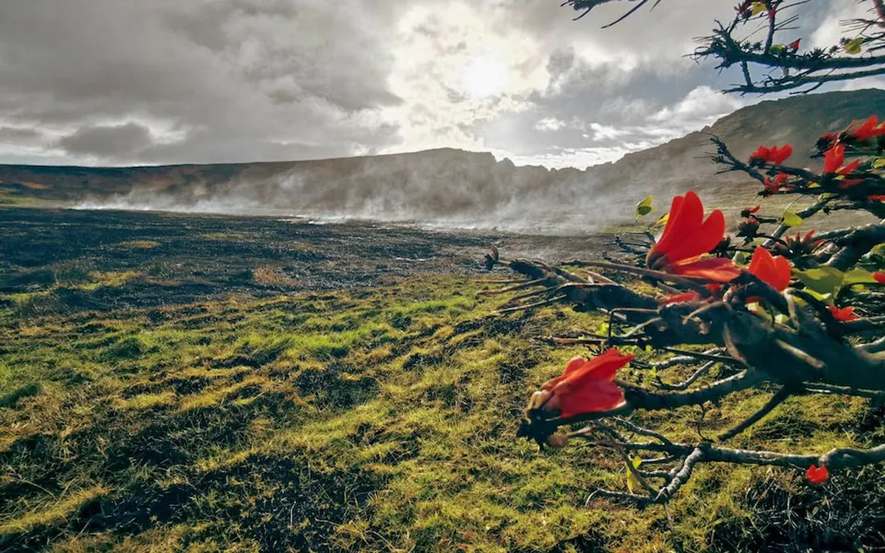 Easter Island Fire Damage Moai Statues, Arson Suspected