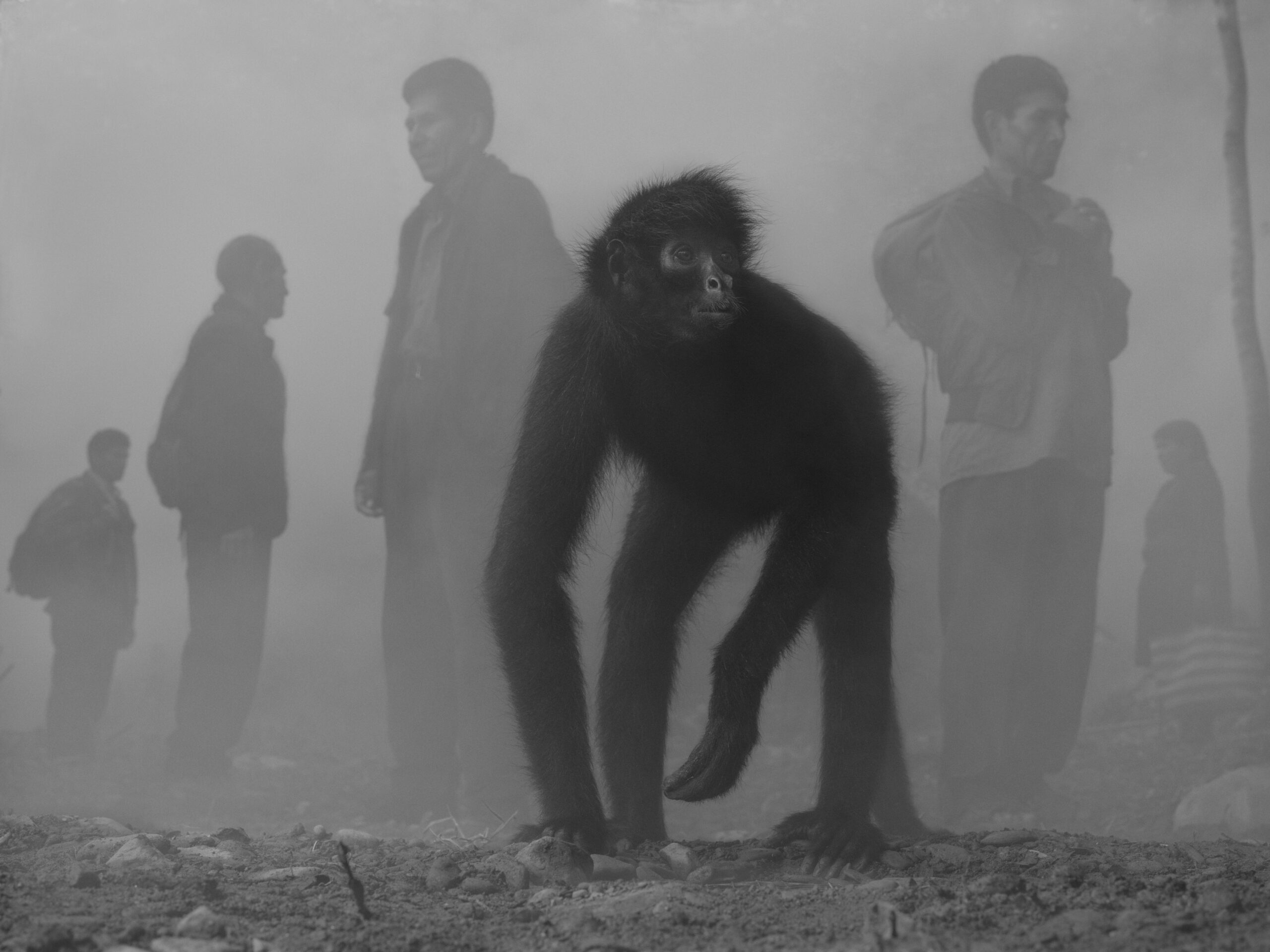 Nick Brandt portrays how people and animals impacted by climate change-22