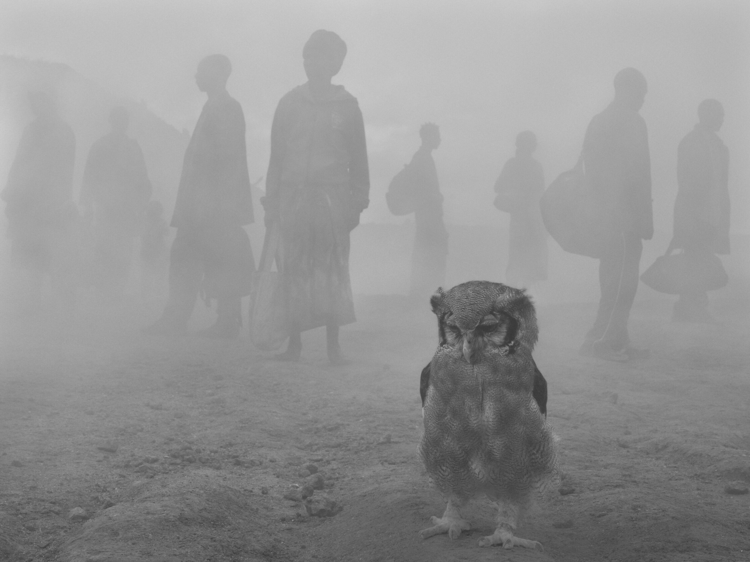 Nick Brandt portrays how people and animals impacted by climate change-3
