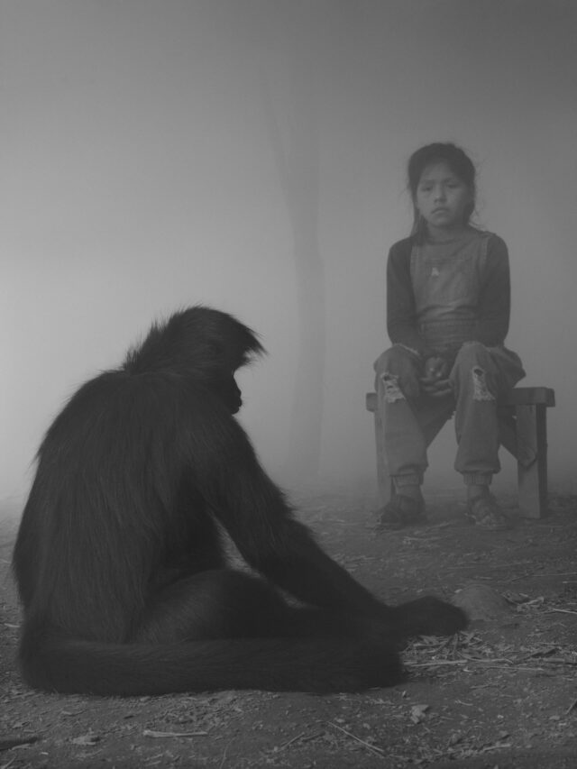 Nick Brandt portrays how people and animals impacted by climate change-25